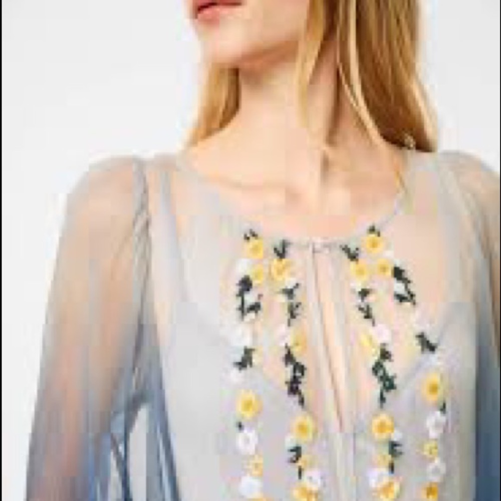 #034. French Connection tulle midi dress with floral embroidery - Picture 5 of 15